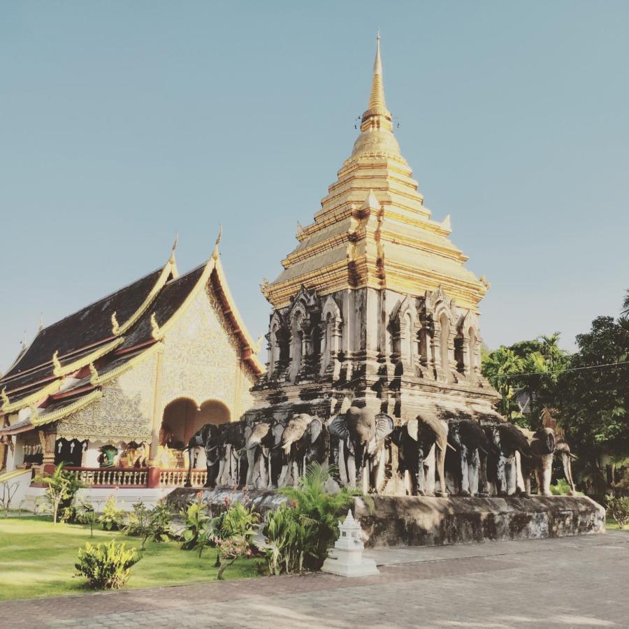 Pinghostel (Adults Only) Chiang Mai Eksteriør bilde